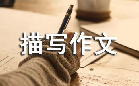 借助运动心理学家指导篮球运动员减压的方案_2